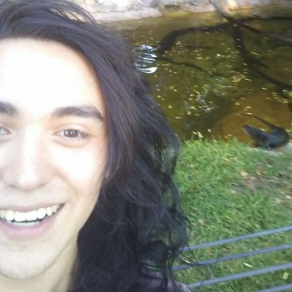 Meet your Posher, Devon - Picture 1 of 1